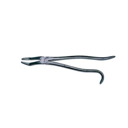 Forceps dentar pentru cai, 30 cm