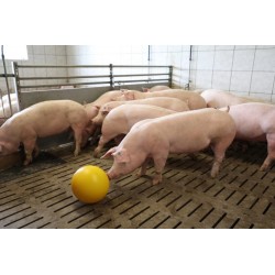 Minge anti stres galbena 30 cm pentru porci